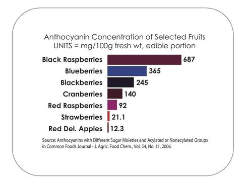 Berrihealth Black Raspberry powder Anthocyanin chart