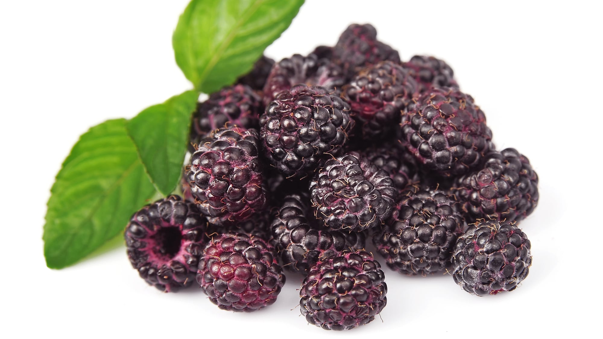 Berrihealth's Black Raspberry Powder - Berry Health UK